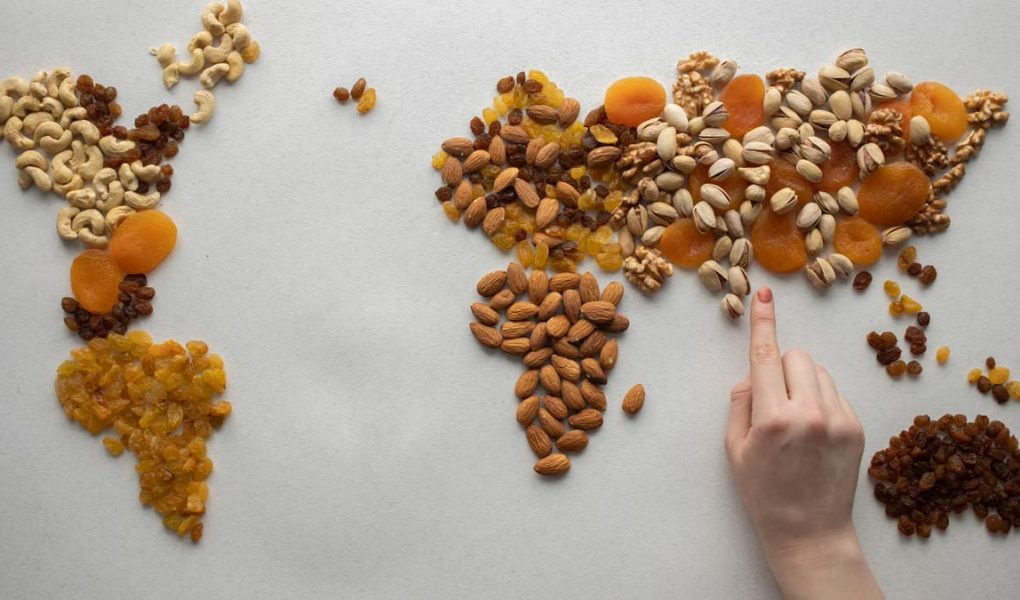 Top view of crop anonymous person making world continents with various nuts and heap of dried fruits on white background